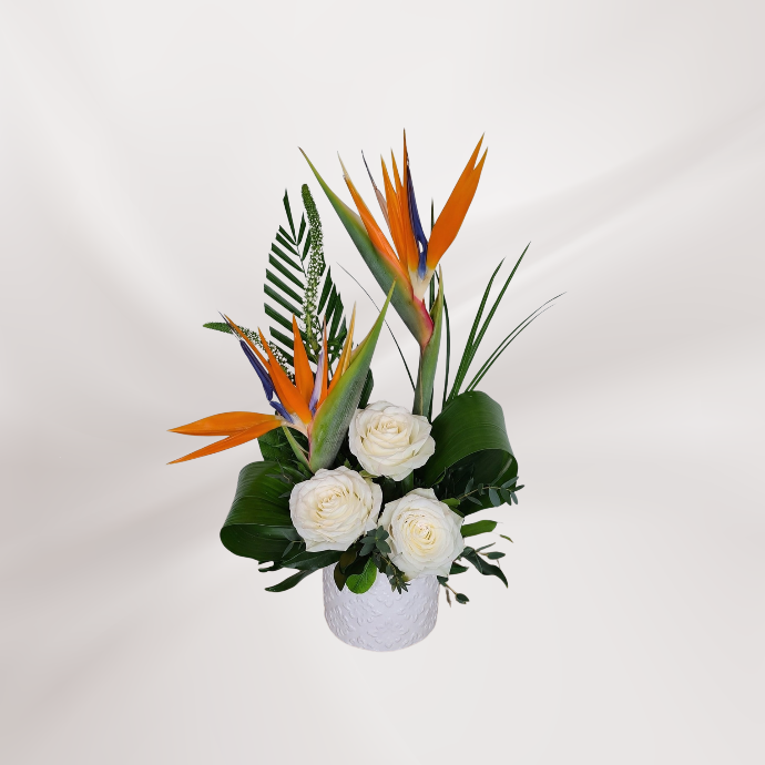 Arrangement funéraire Oiseaux du Paradis - Moyen